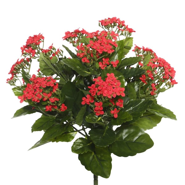Dare2Decor 15.5 in. Red Kalanchoe Bush DA599125 - main
